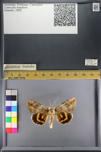Media type: image;   Entomology 640188